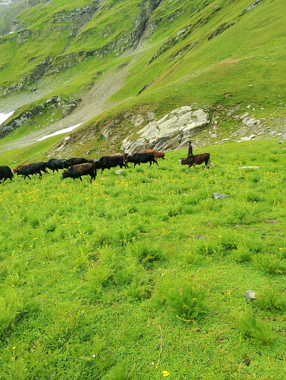 Best Kala Pani View  Astore -